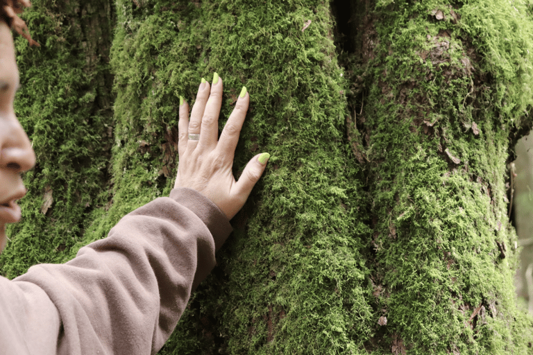 Vancouver: Visita a los Árboles Parlantes del Parque Stanley