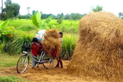 Siem Reap: Countryside Jeep Tour