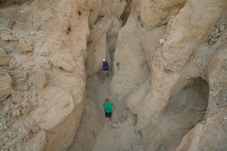 Palm Springs: San Andreas Fault Open-Air Jeep Tour