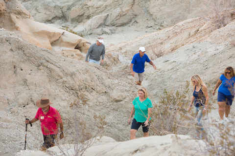 Palm Springs: San Andreas Fault Open-Air Jeep Tour