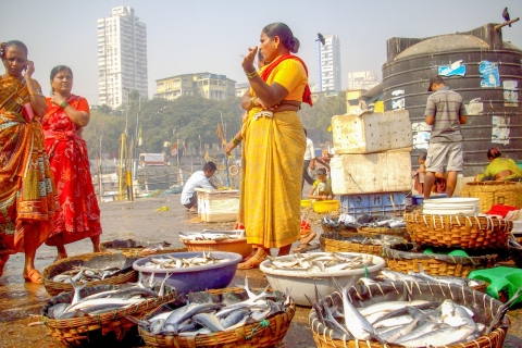 Bombaj: całodniowa prywatna wycieczka krajoznawcza