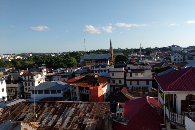 Stonetown Historical Walking Tour & Traditional Lunch Standard Option
