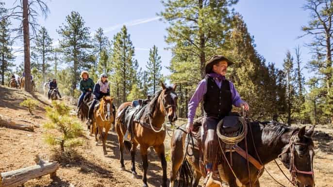 bryce canyon 3hour horseback ride in red canyon