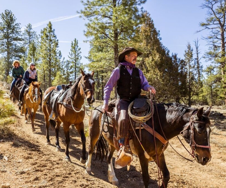 Bryce Canyon: 3-Hour Horseback Ride in Red Canyon