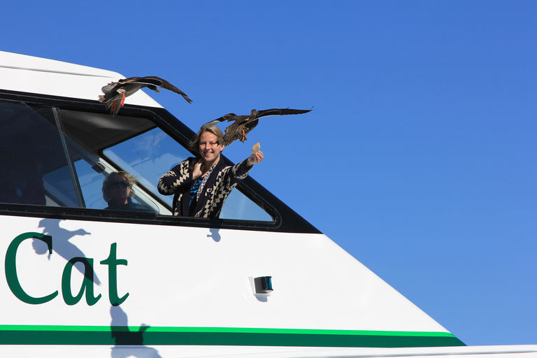 Lake Taupo: 1.5-Hour Maori Rock Carvings 5:00 PM Cruise