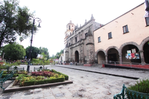 Wycieczka po dzielnicach Xochimilco i Coyoacán