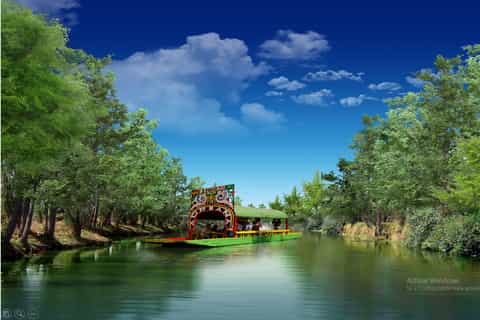 Xochimilco and Colonial Coyoacan: Half-Day Tour