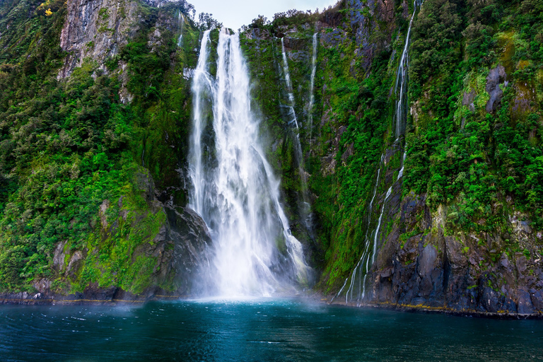 Milford Sound: Premium Small Group Tour from Queenstown From Queenstown: Small Group Tour with Glass Roof