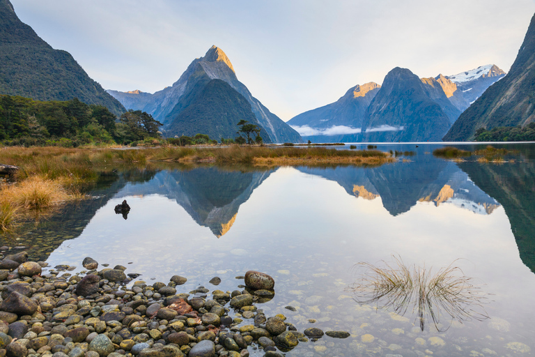 Milford Sound: Premium Small Group Tour from Queenstown From Queenstown: Small Group Tour with Glass Roof