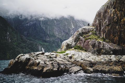 Milford Sound: Premium Small Group Tour from Queenstown From Queenstown: Small Group Tour with Glass Roof