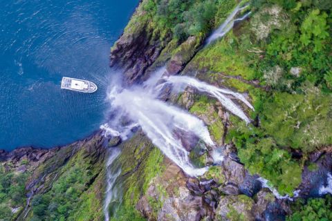 Milford Sound: Naturskøn tur i lille båd på fjorden