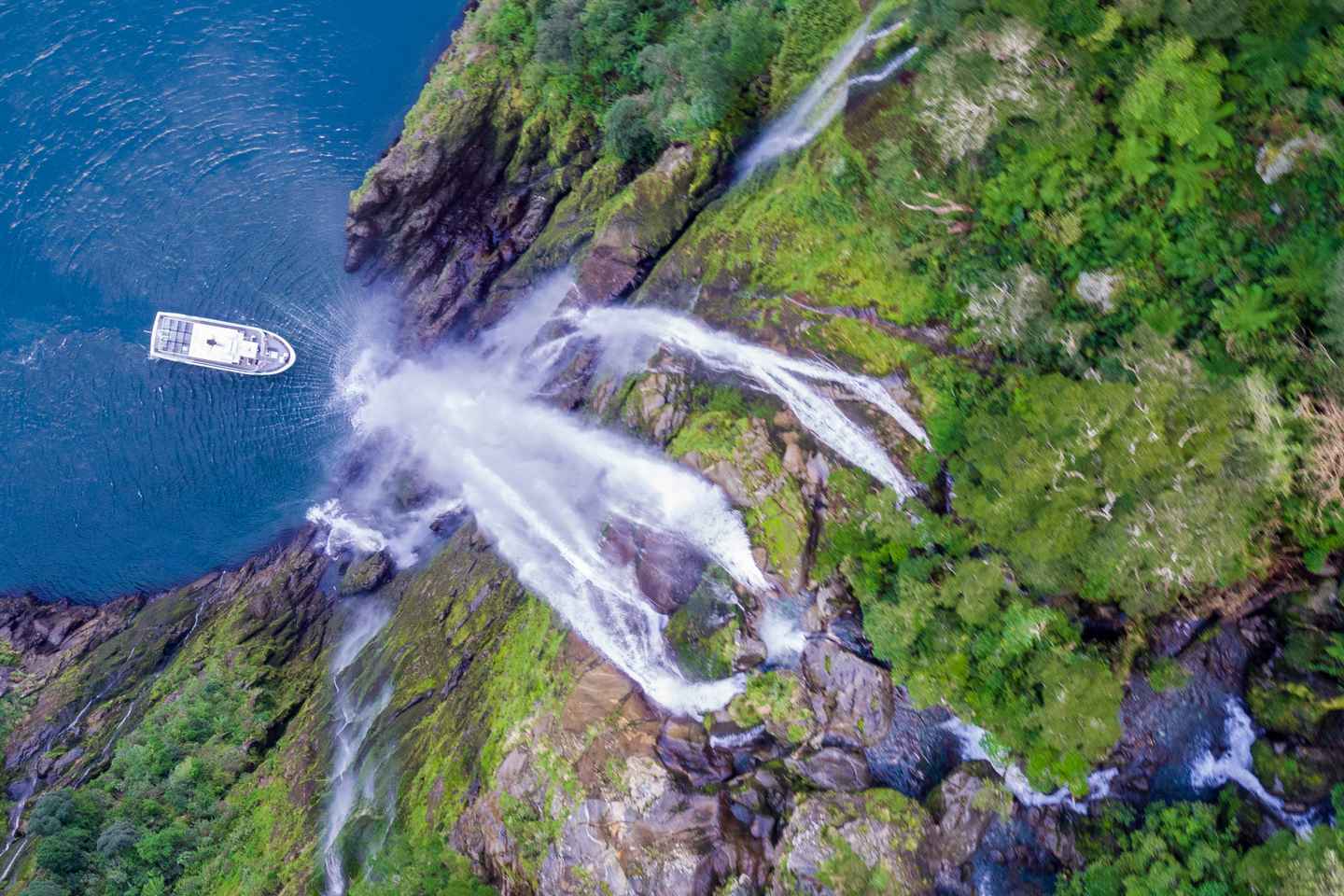 Milford Sound: Boutique Small-Boat Cruise - Milford Sound: Boutique Small-Boat Cruise
