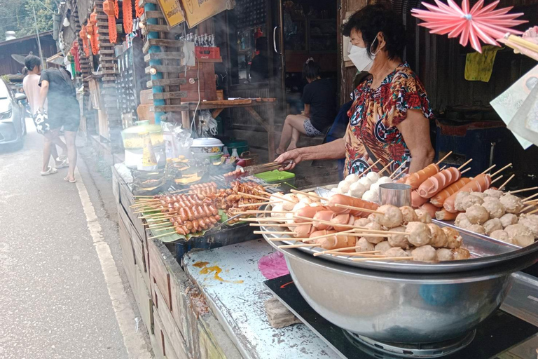 Chiang Mai: Villaggio di Mae Kampong, sorgenti termali e tour di Bor Sang