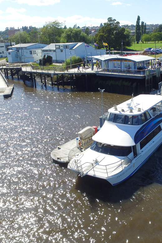 Launceston 4 Hour Batman Bridge Luncheon Cruise Getyourguide