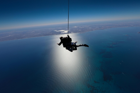 Hillary's Harbour : Forfait parachutisme et ferry sur l'île de RottnestSaut en parachute à 10 000 pieds à Rottnest + forfait ferry