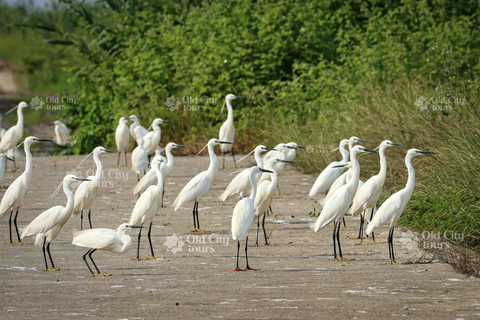 Shirvan Eco-Tour: Gazelles, Birdwatching & Village Lunch Private tour