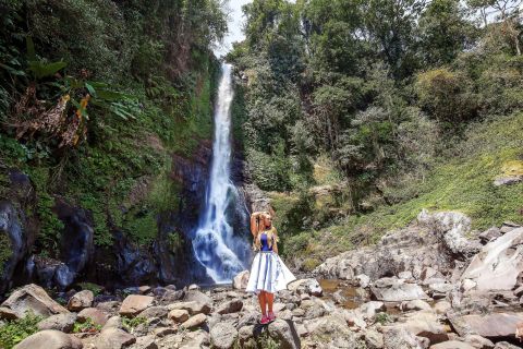 Bali: Gitgit i Alingaling Waterfalls Mała wycieczka grupowa