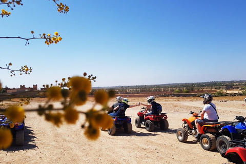 Palmeraie di Marrakech: giro in cammello e attività in quad