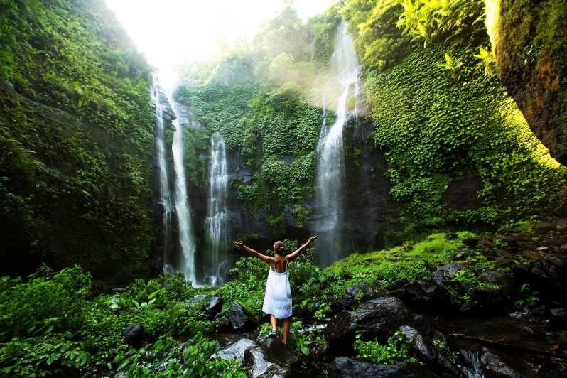 North Bali: Sekumpul Waterfalls and Ulun Danu Temple Tour