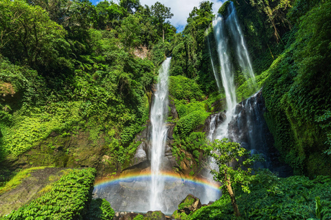 North Bali: Sekumpul Waterfalls and Ulun Danu Temple Tour Small Group Tour