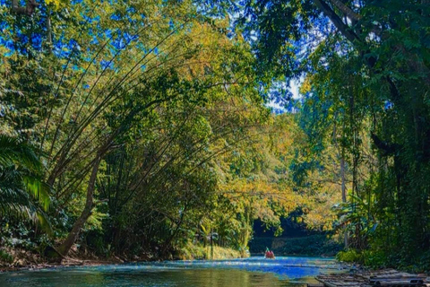 Excursión de un día en balsa de bambú por el río Martha Brae y safari por el pantanoDesde Montego Bay