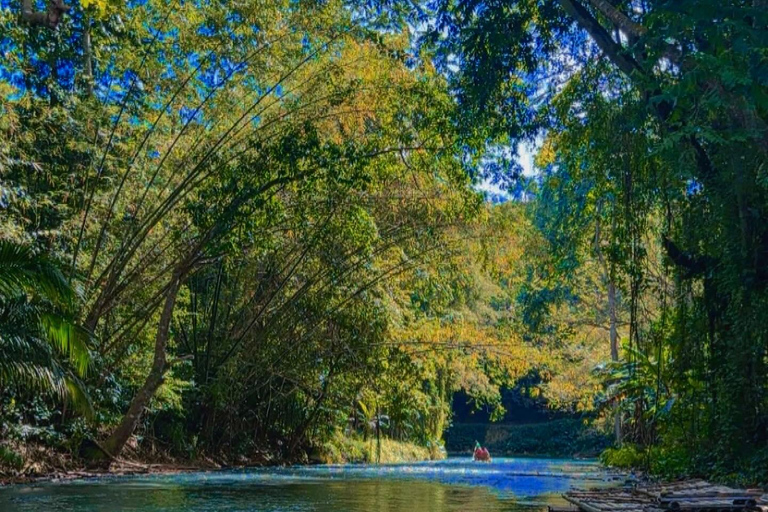 Martha Brae River Bamboo Rafting and Swamp Safari Day Tour From Montego Bay