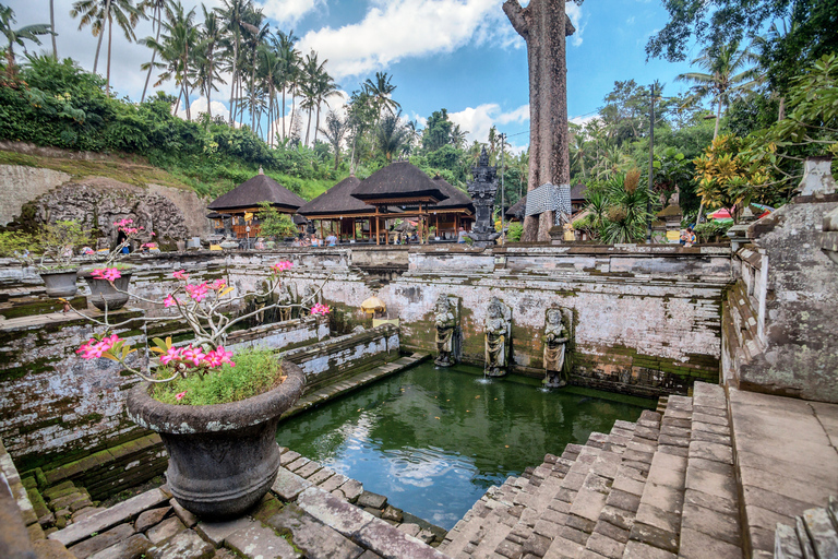 Bali: grupo pequeño de naturaleza, arte, historia y culturaTour privado con tarifas de entrada