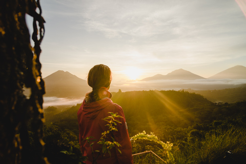 Bali: grupo pequeño de naturaleza, arte, historia y culturaTour privado con tarifas de entrada