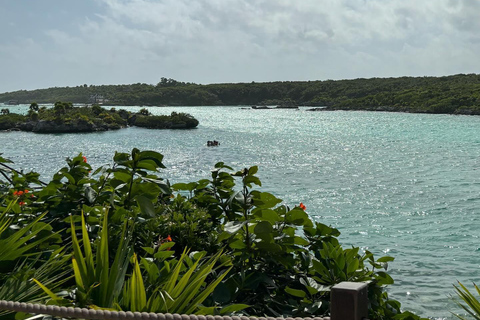 Bob Marley, Dunn’s River Falls and Luminous Lagoon Tour From Grand Palladium/ Lady Hamilton