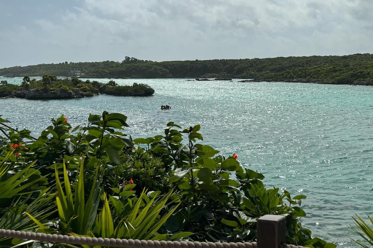 Bob Marley, Dunn’s River Falls and Luminous Lagoon Tour From Grand Palladium/ Lady Hamilton