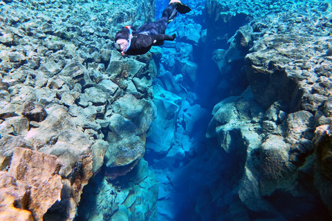 Da Reykjavik: Snorkeling a Silfra con foto subacqueeOpzione con muta stagna