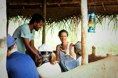 Sri Lanka : visite guidée de 5 heures du village d'EllaOption standard