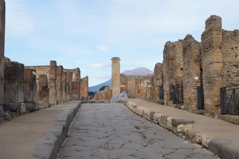 Pompei: tour con saltafila e trasporto in treno da Sorrento