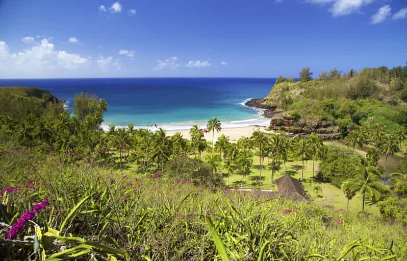 Kauai: Allerton Garden Guided Group Walking Tour | GetYourGuide