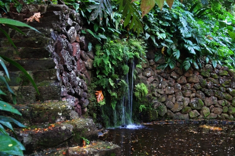 Kauai : Visite du jardin et du domaine d'Allerton avec dîner au coucher du soleilAllerton Garden and Estate Tour avec dîner au coucher du soleil
