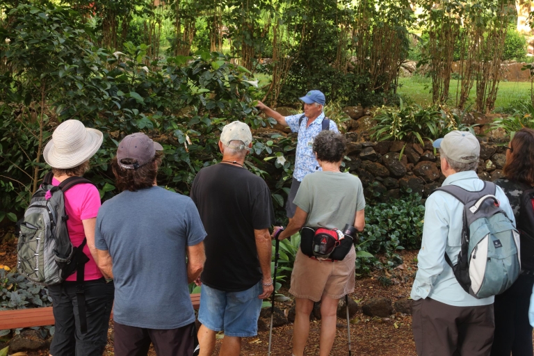 Kauai: Visita a los jardines y fincas de Allerton con cena al atardecerAllerton Garden and Estate Tour con cena al atardecer
