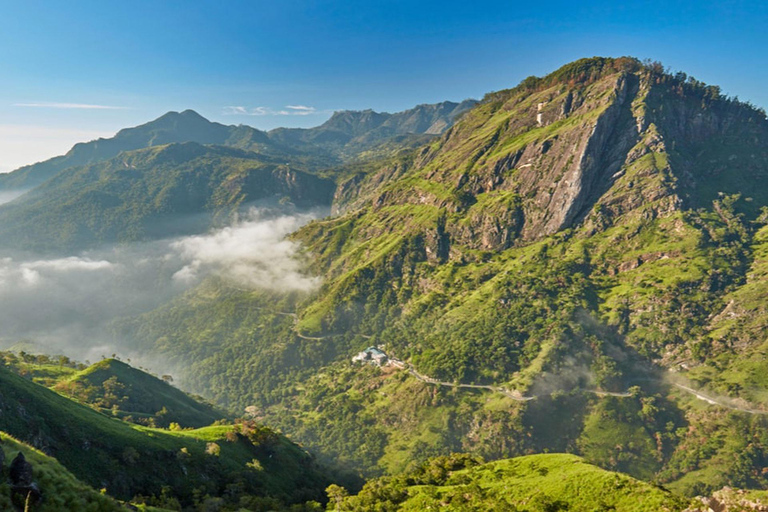 Kandy: Pidurutalagala Mountain Day Trip with Pickup