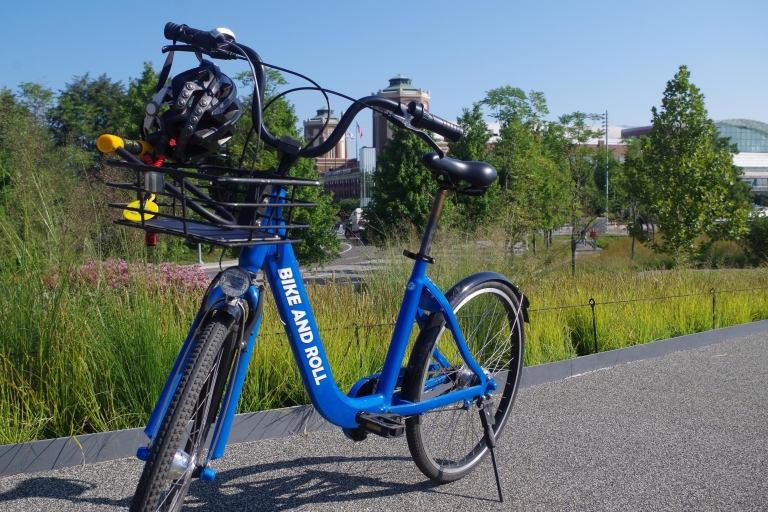 Bike and Roll Chicago: alquiler de bicicletas de medio díaOpción estándar