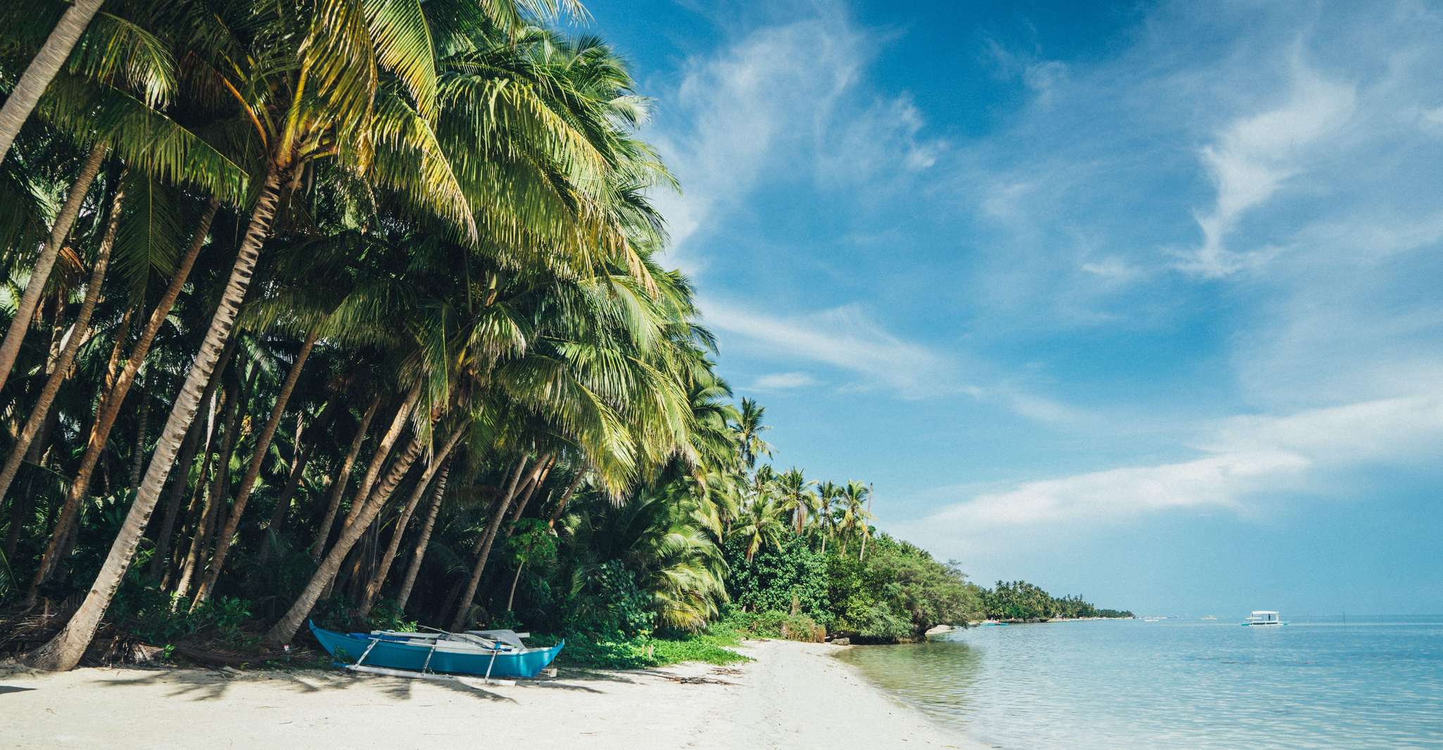 Dumaguete, Siquijor Island & Cambugahay Falls Private Tour - Hizvo