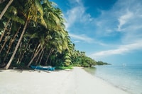 Dumaguete, Siquijor Island & Cambugahay Falls Private Tour - Hizvo