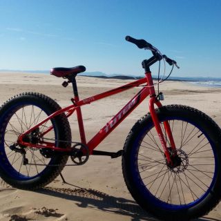 Jeffreys Bay: Fat-Tyre Bike Beach Rides