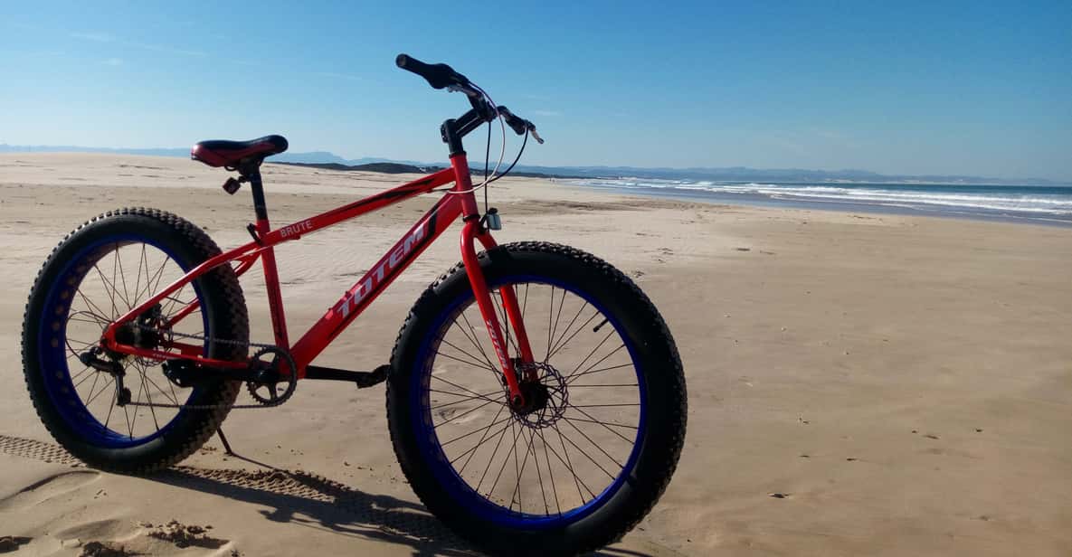 Jeffreys Bay: Fat-Tire Bike Beach Rides