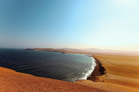 Från Paracas: Buggy-tur i Paracas nationalreservatMötesplats