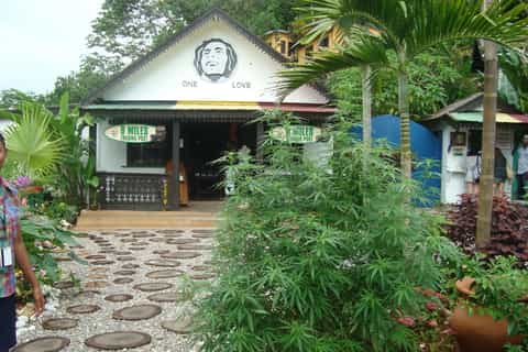 jamaica roots reggae and culture shore excursion with lunch