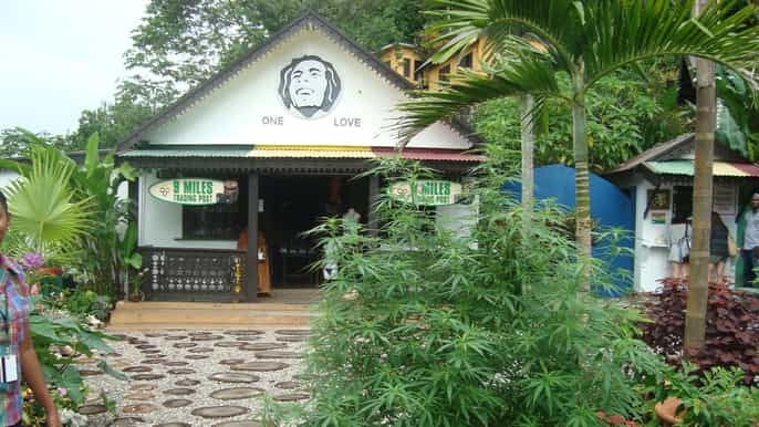 jamaica roots reggae and culture shore excursion with lunch