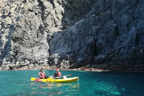 Los Cristianos: tour in kayak con snorkeling vicino al Guaza