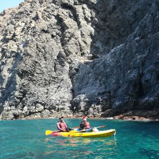 Tenerife: Dolphins by Kayak Tour