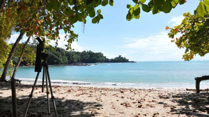 manuel antonio national park tour