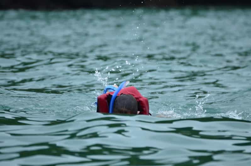 Quepos Ocean Kayaking and Snorkeling GetYourGuide