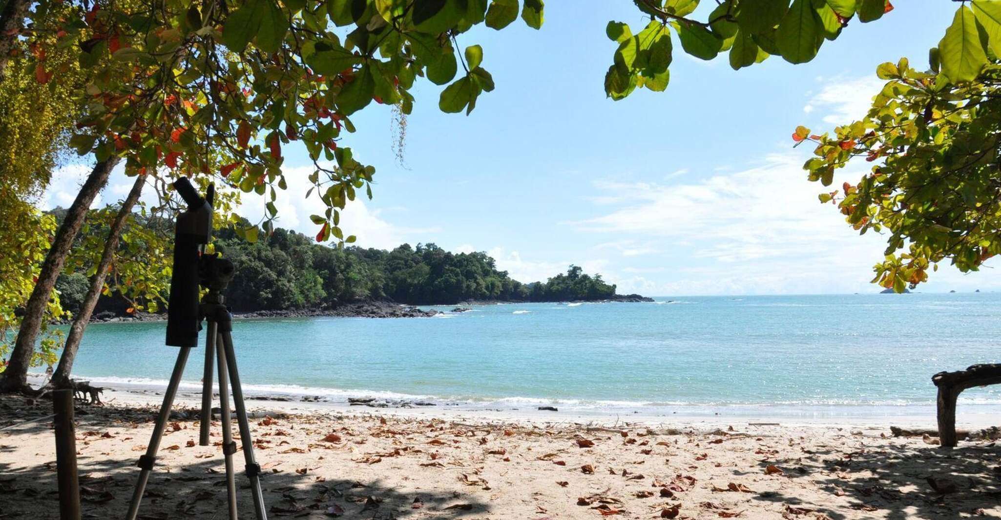 From Jaco, FullDay Manuel Antonio National Park Tour SuiteTrails